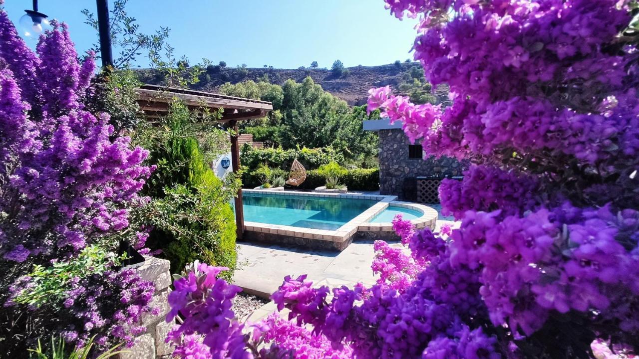 Aithonas Villa Αρχάγγελος Εξωτερικό φωτογραφία
