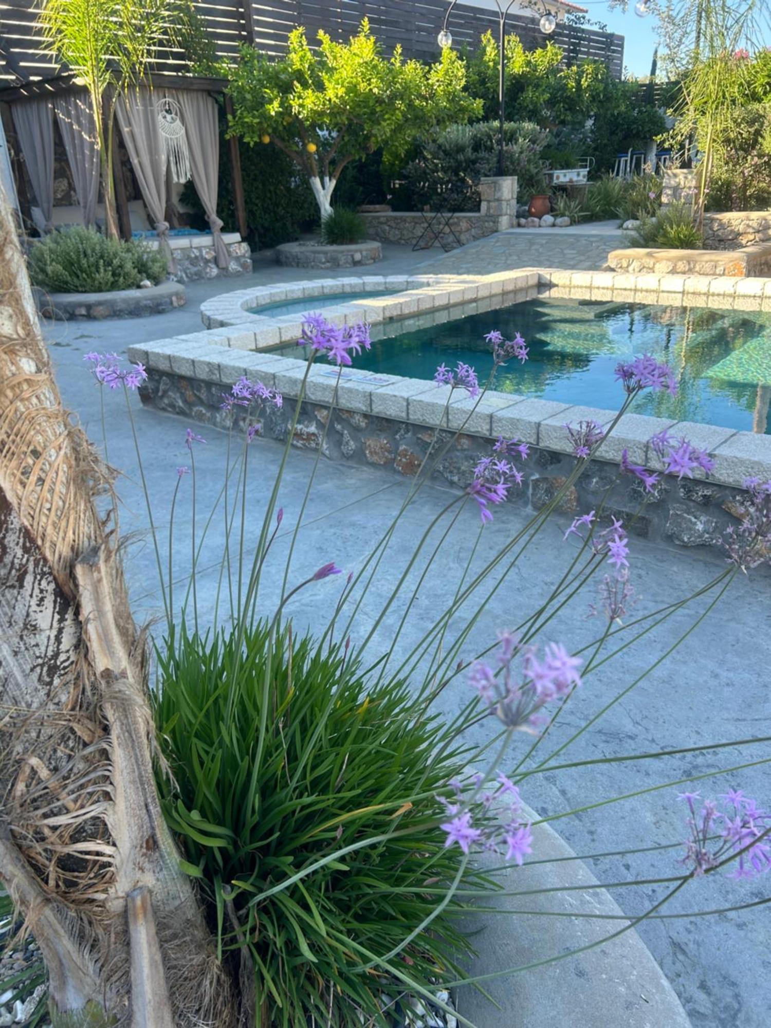 Aithonas Villa Αρχάγγελος Εξωτερικό φωτογραφία