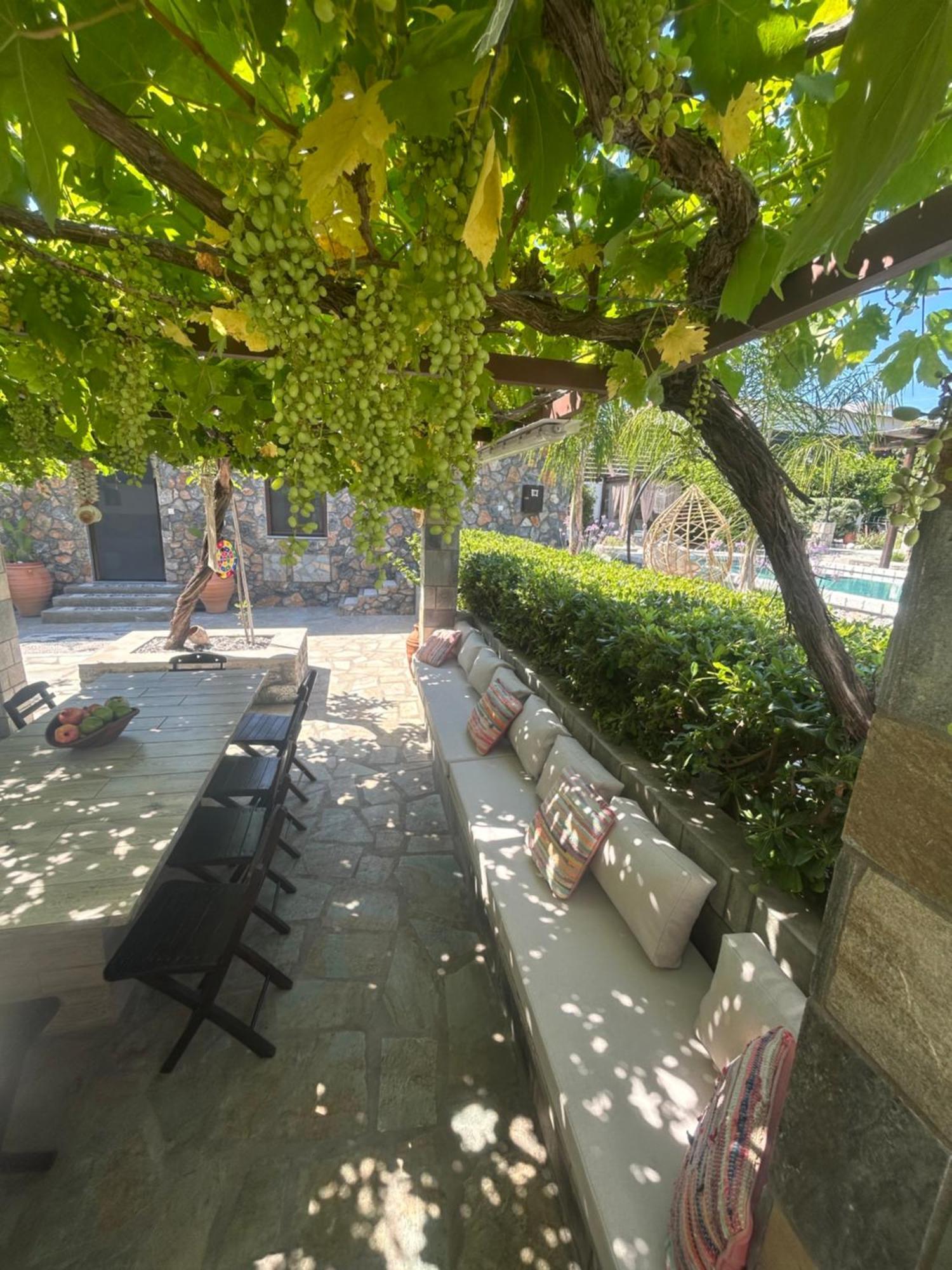 Aithonas Villa Αρχάγγελος Εξωτερικό φωτογραφία